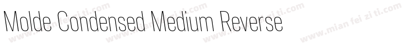 Molde Condensed Medium Reverse字体转换